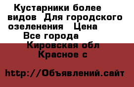 Кустарники более 100 видов. Для городского озеленения › Цена ­ 70 - Все города  »    . Кировская обл.,Красное с.